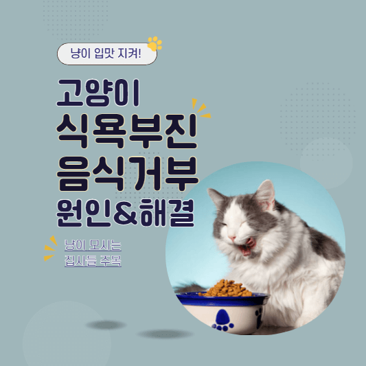 고양이사료거부