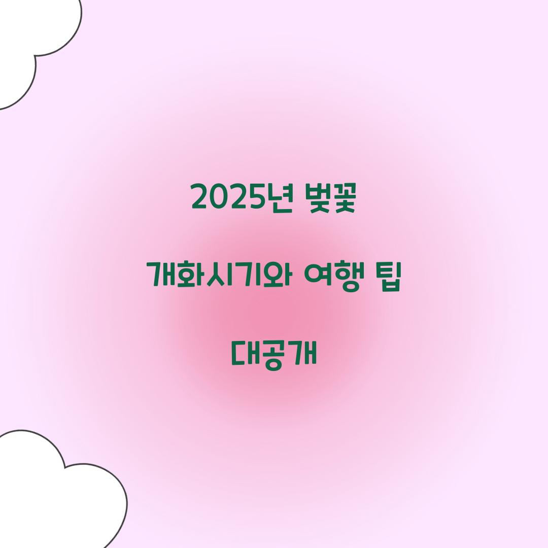 2025년 벚꽃 개화시기