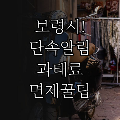 보령시 주정차 단속 전 사전 알림 신..