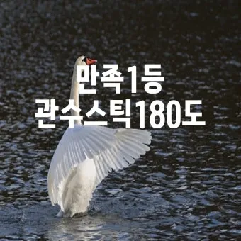 관수 방식 비교 드립 점적 스프링클러 살수장치 선택_25