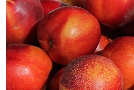 천도복숭아효능