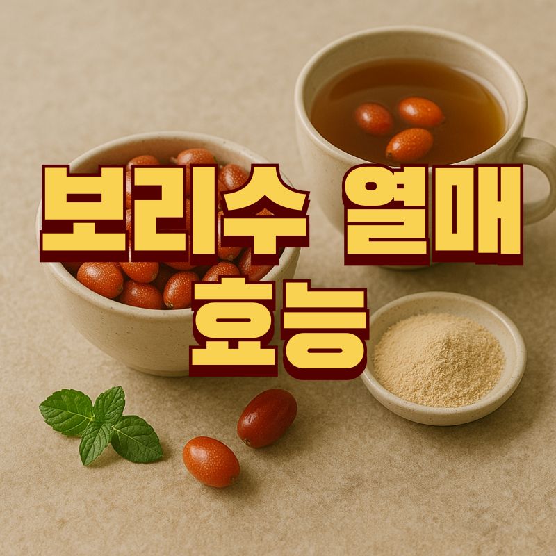 보리수 열매 효능