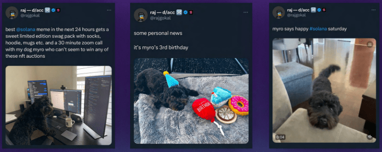 솔라나 밈 코인의 종류 (2024년)