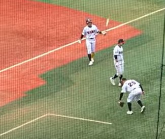 gold-lion-baseball
