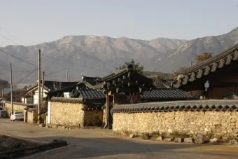 농한기 수익 아이템 건조채소 장아찌 씨앗판매 체험농장_8