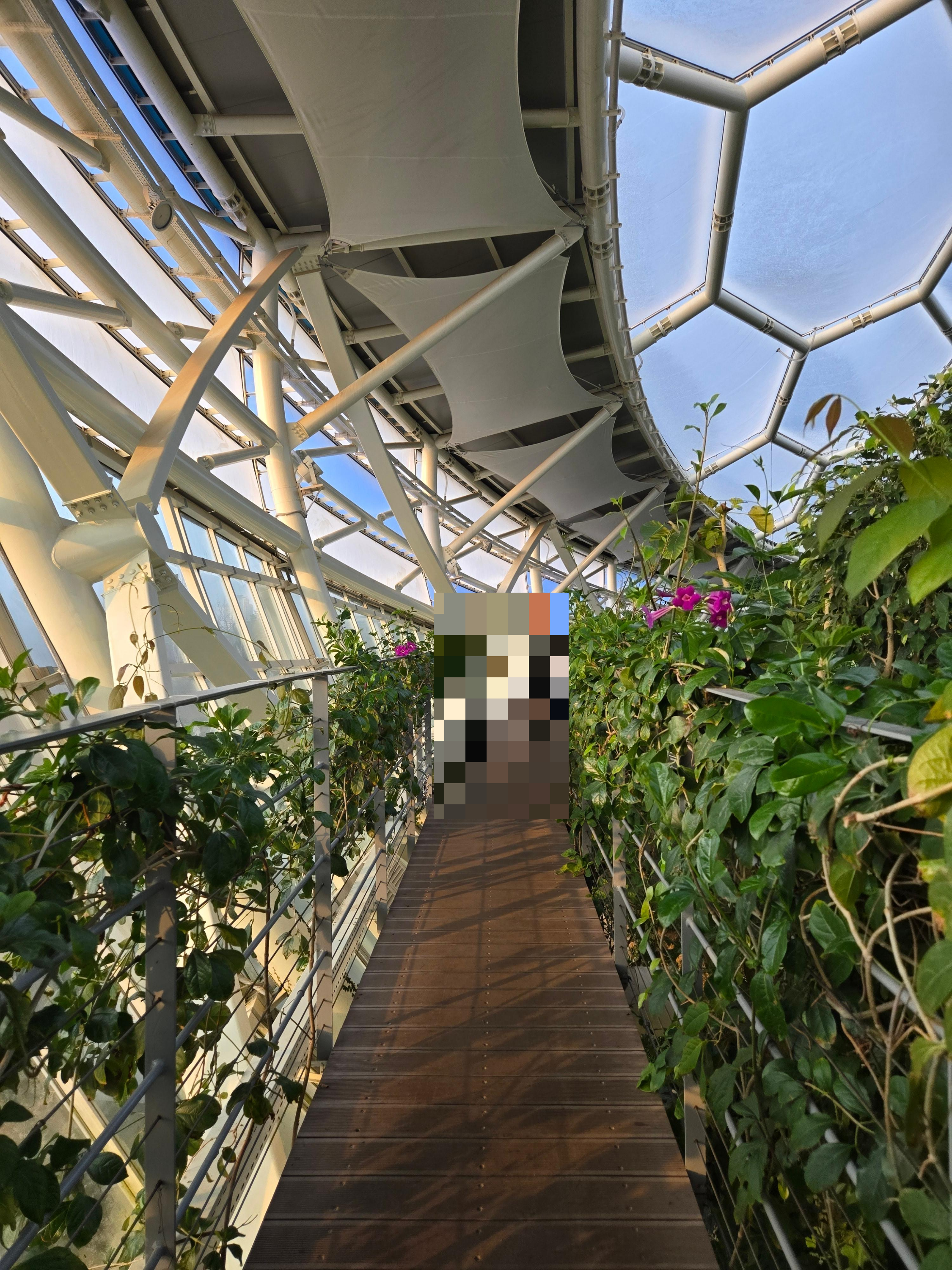 부천수피아식물원카페