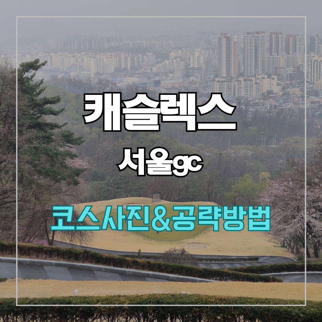 캐슬렉스cc