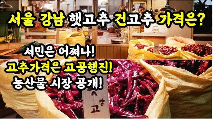 가락동 농산물 경매시세 실시간 확인 완벽 농산물 정보_6