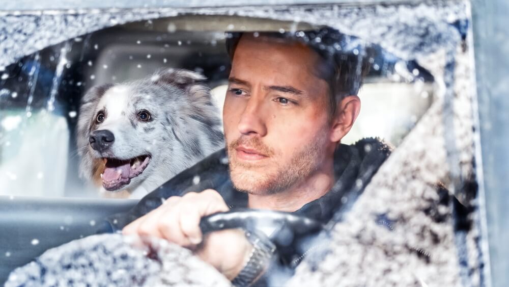 노엘 다이어리 (The Noel Diary, 2022) 자신의 반려견과 함께 차에 있는 주인공