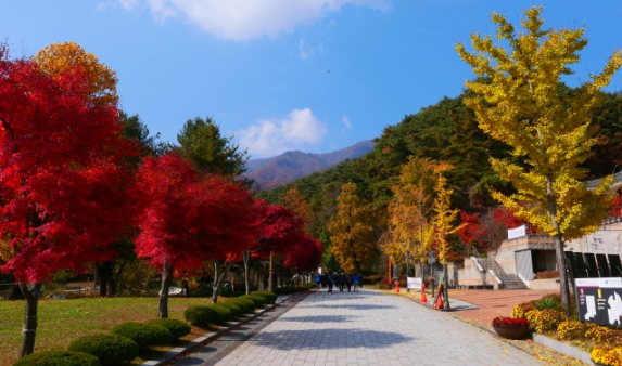 양평 용문산