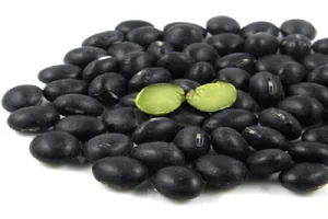 검은콩