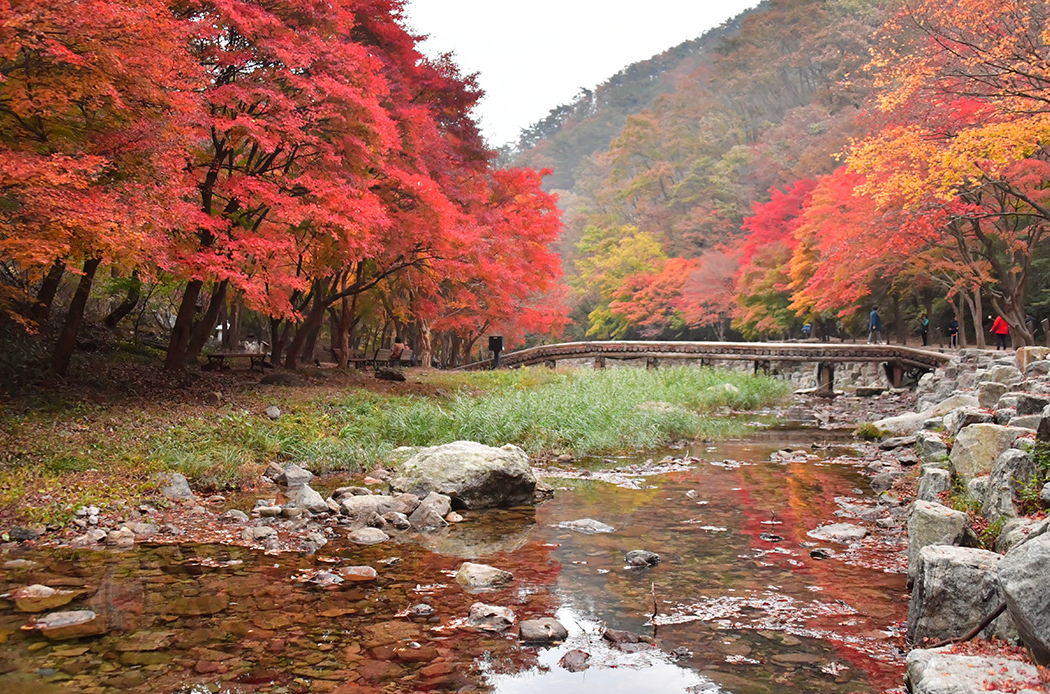 순창 강천산 단풍1