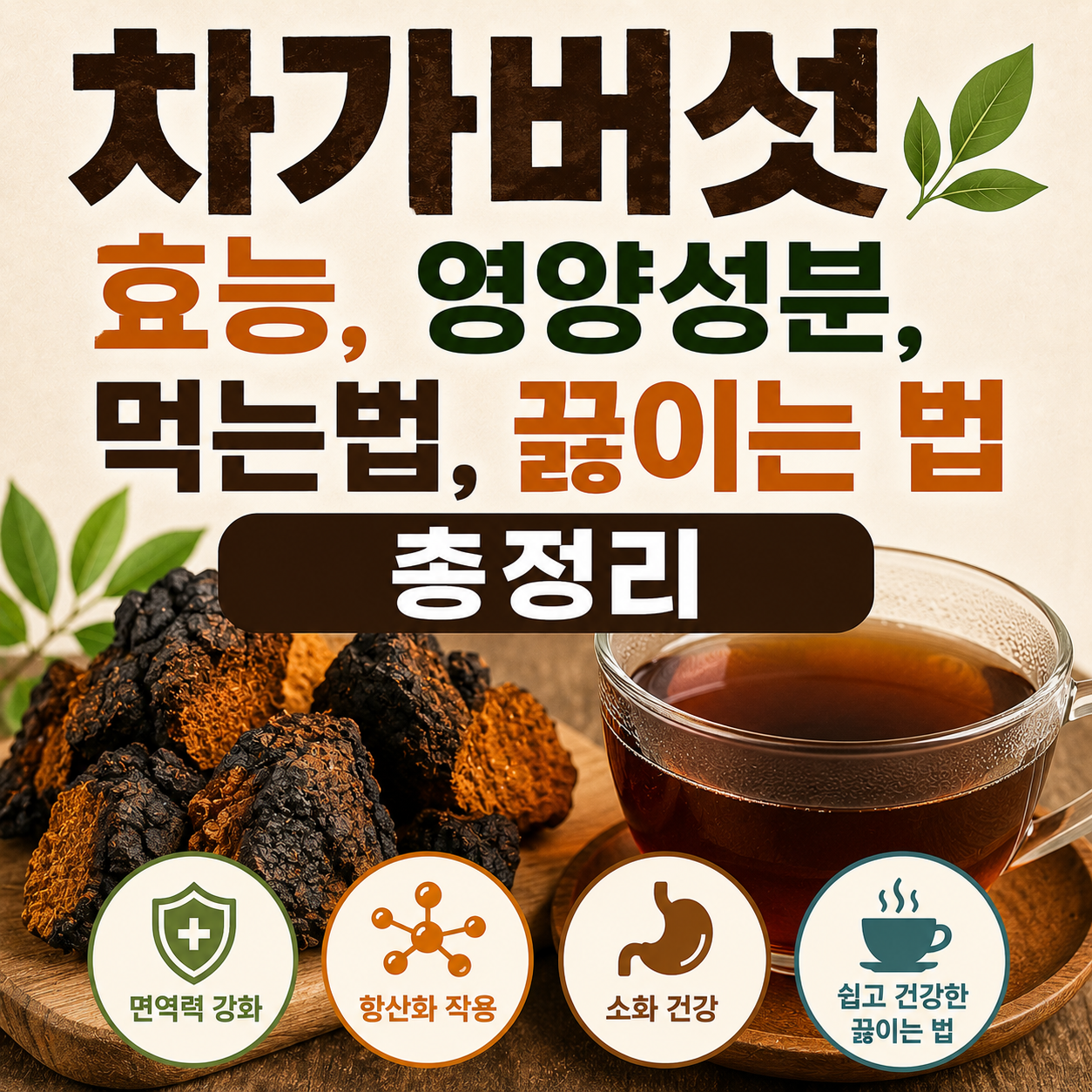 차가버섯 효능