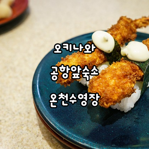 오키나와 자유여행 나하 공항 인접 호..
