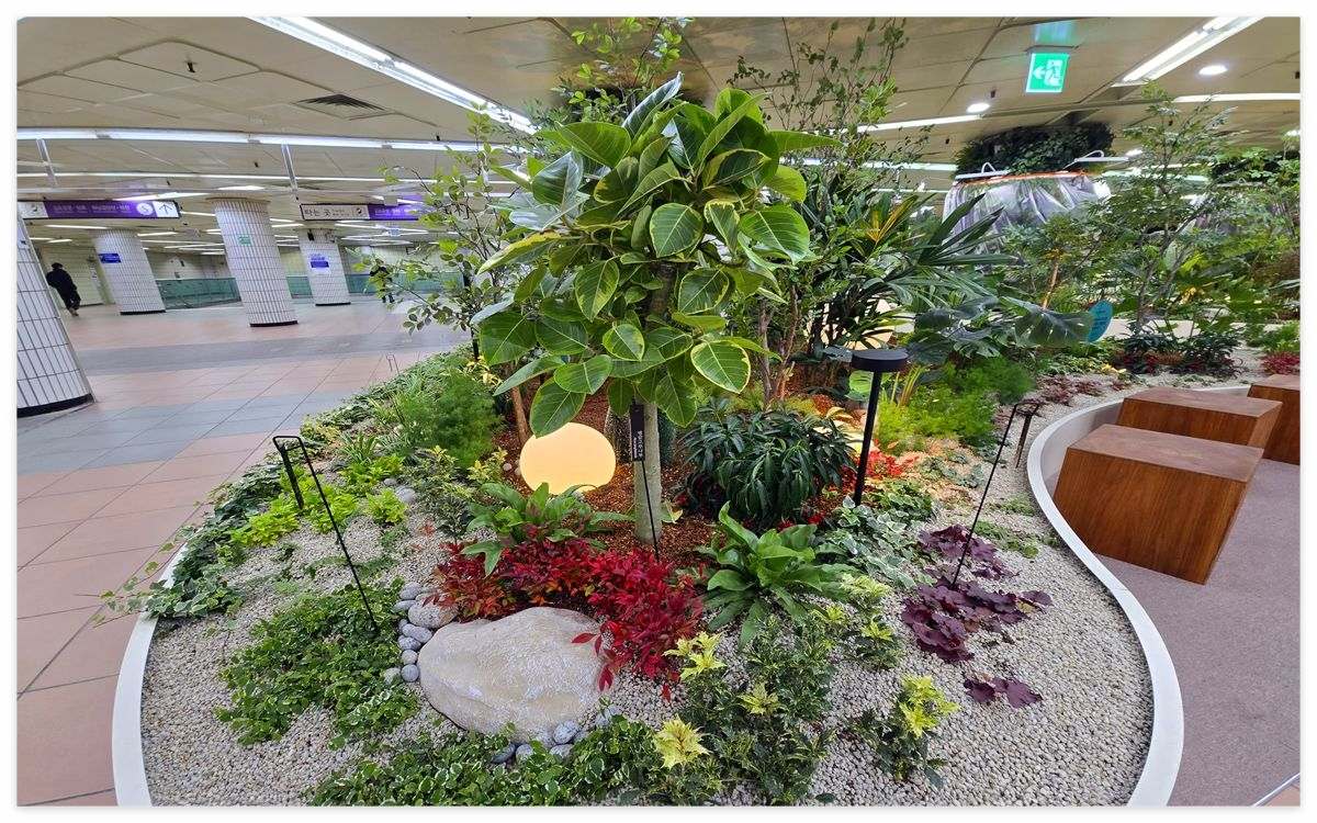 서울시 개인정원 등록방법