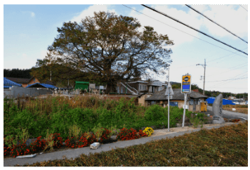 서울시 시내버스 준공영제 혁신