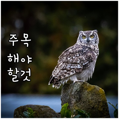 길음동 대형폐기물 버리는 방법 과태료..