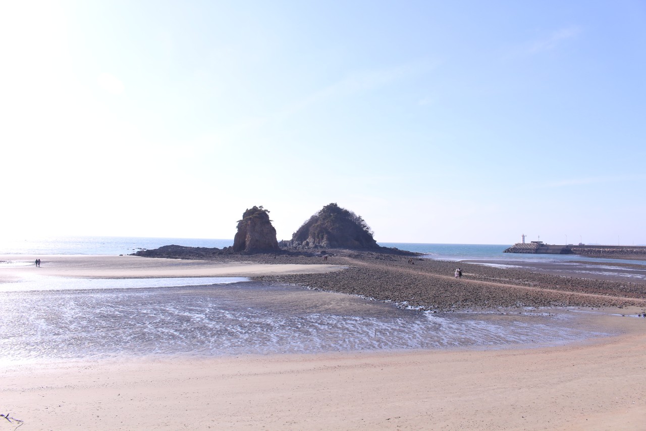 충남 태안 갯벌사진