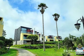 제주 애월 스텐포드 호텔 1박 프리미엄더블 다이닝 조식 풀카페_14