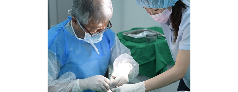 전주 완산구 교정 치과