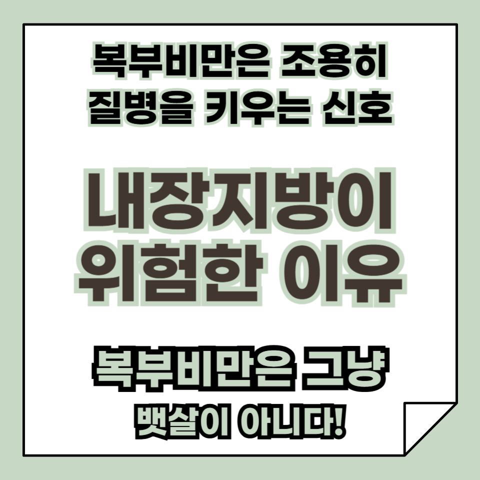 아무렇지 않게 넘겼던 뱃살, 사실은 건강의 경고등입니다
