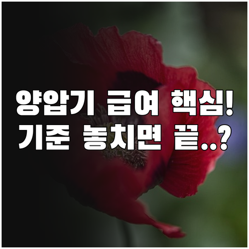 수면무호흡 양압기 급여 비용 순응 기..