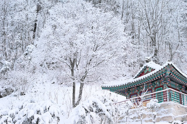 겨울 여행지