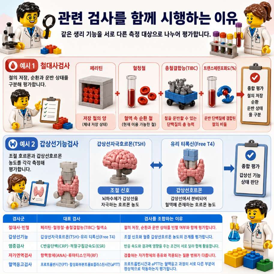 관련 검사를 함께 시행하는 이유와 철대사검사, 갑상선기능검사 조합을 설명한 레고 스타일 메디컬 인포그래픽