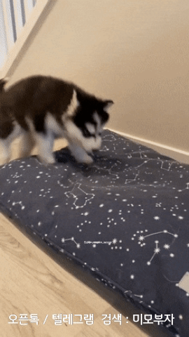 2월 1일 신문스크랩