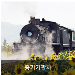 곡성 기차마을 증기기관차