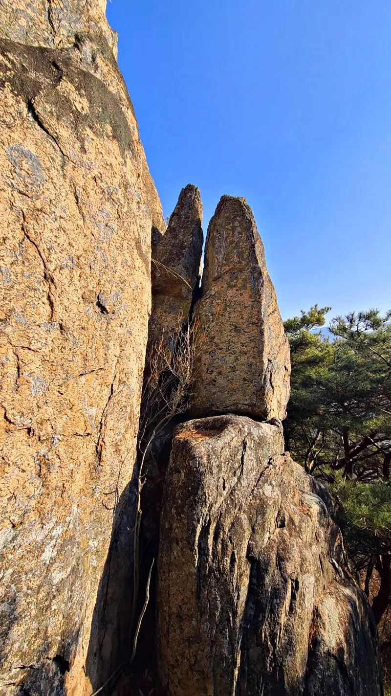 밀양 보담산 낙화산 중산
