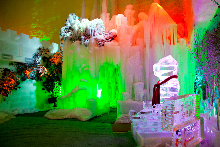 수목원 테마파크