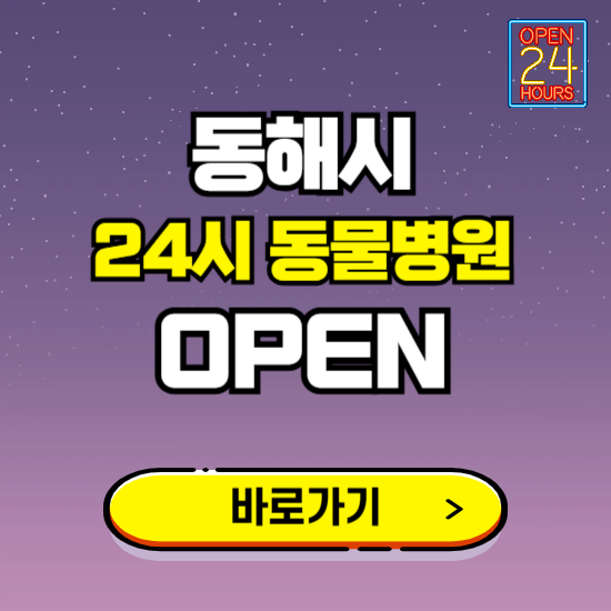 동해시 24시 동물병원 진료하는 곳 ❘ 설날 휴일 야간 심야 문여는곳 찾기 ❘ 응급진료