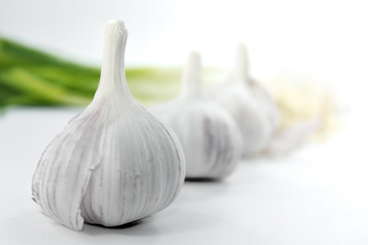 미세먼지에 좋은 음식