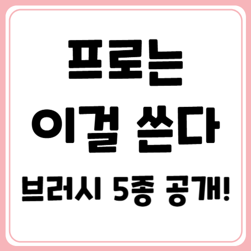 내추럴 메이크업에 딱! 필수 브러시와 추천 제품 총정리