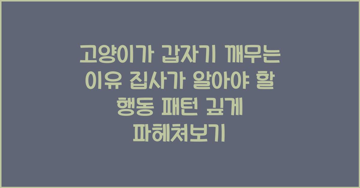 고양이가 갑자기 깨무는 이유! 집사가 알아야 할 행동 패턴