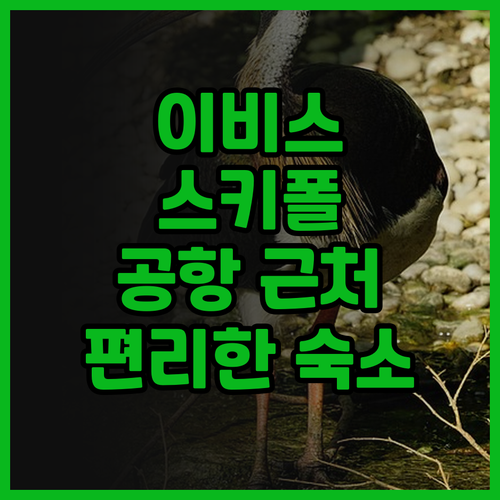 이비스 스키폴 암스테르담 에어포트 호