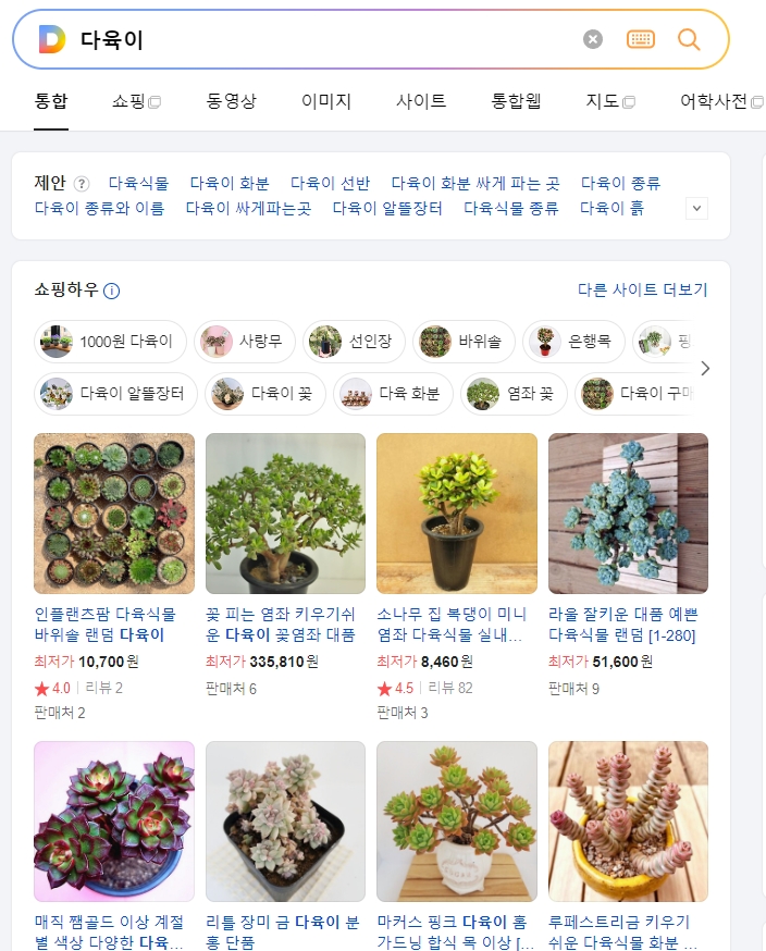 실제 구매 가능한 다육식물 쇼핑 목록 화면