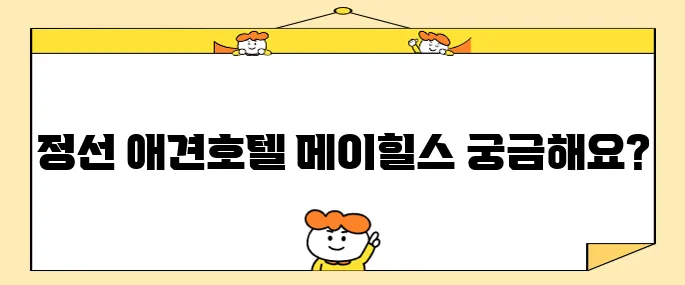 정선 여행에서 가성비 좋은 애견동반 호텔 메이힐스를 추천합니다.