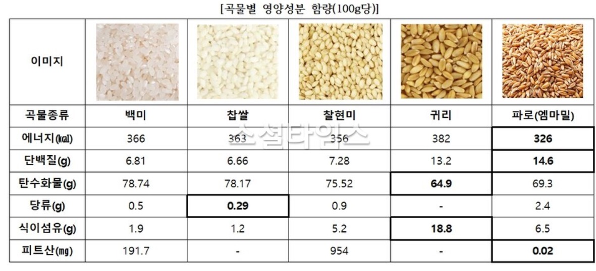 곡물별-영양-비교-파로쌀