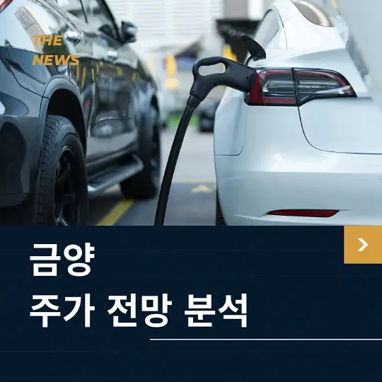 금양 주가 전망 및 분석