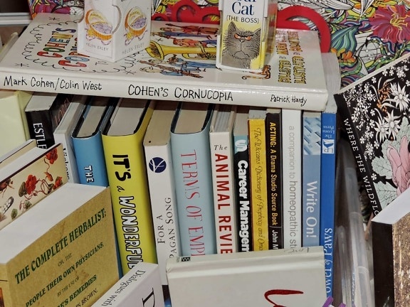 서점의-다양한-책들