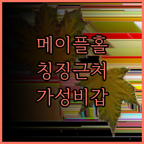 메이플 리프 홀리데이 빌라.. 칭징