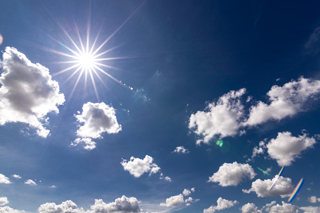 오존주의보를 영어로 번역한 Ozone Warning을 추천합니다.