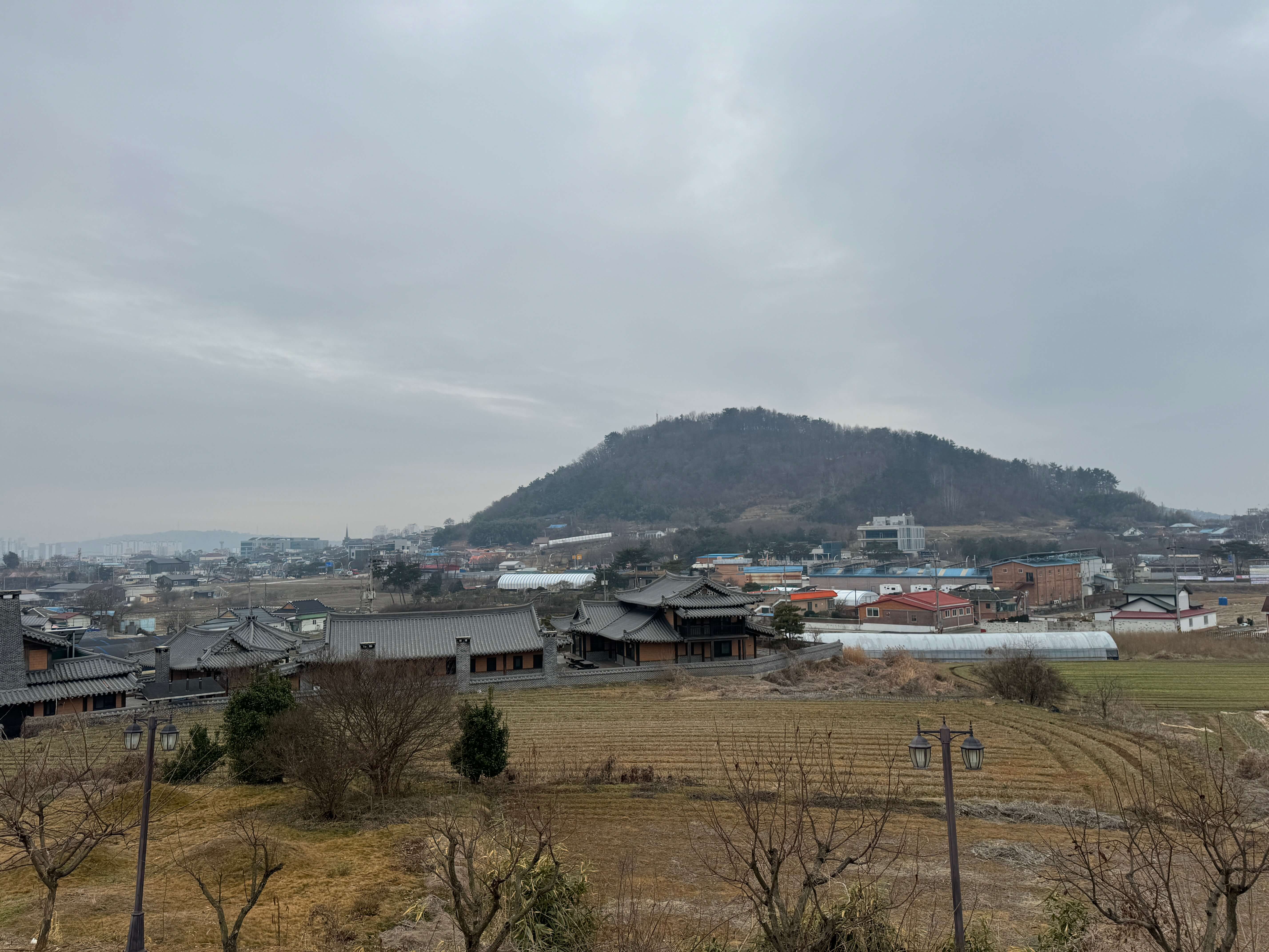 한옥 카페 선은재 삼계탕