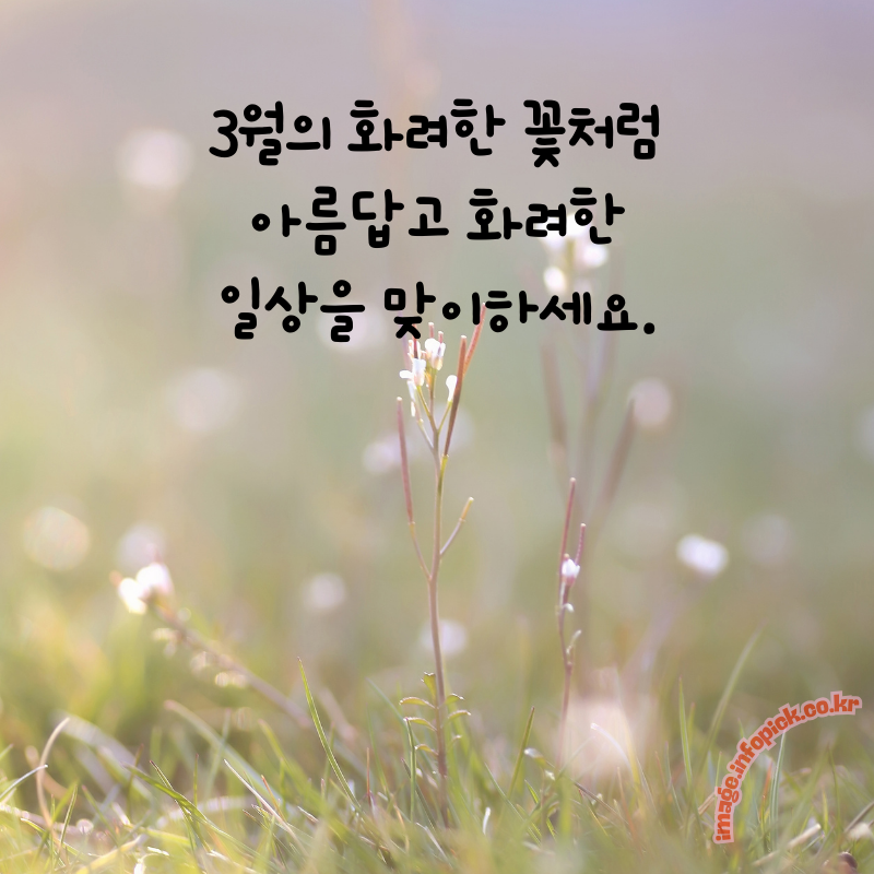 3월 인사말 문구 이미지 모음집3월 인사말 문구 이미지 모음집