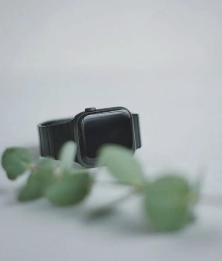 웨어러블 디바이스 초기 설정 방법