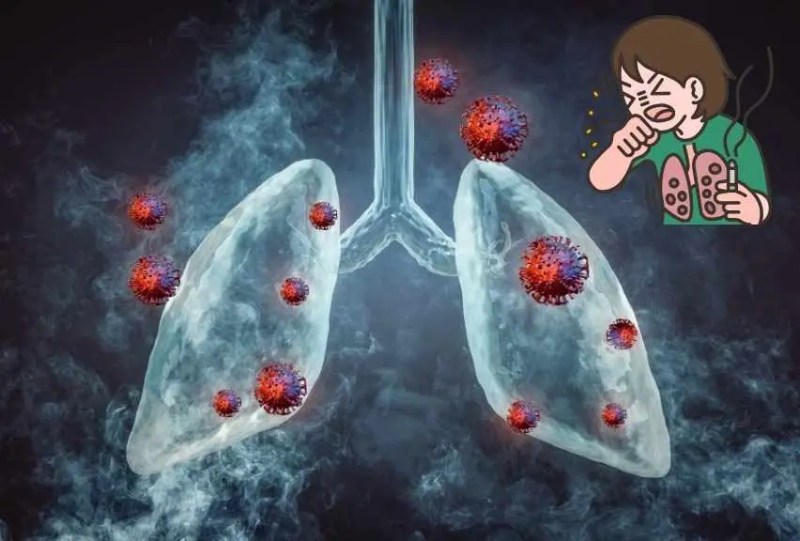 폐포를 둘러싼 모세혈관을 통해 적혈구가 이산화탄소를 버리고 산소를 받아들여 온몸으로 운반한다