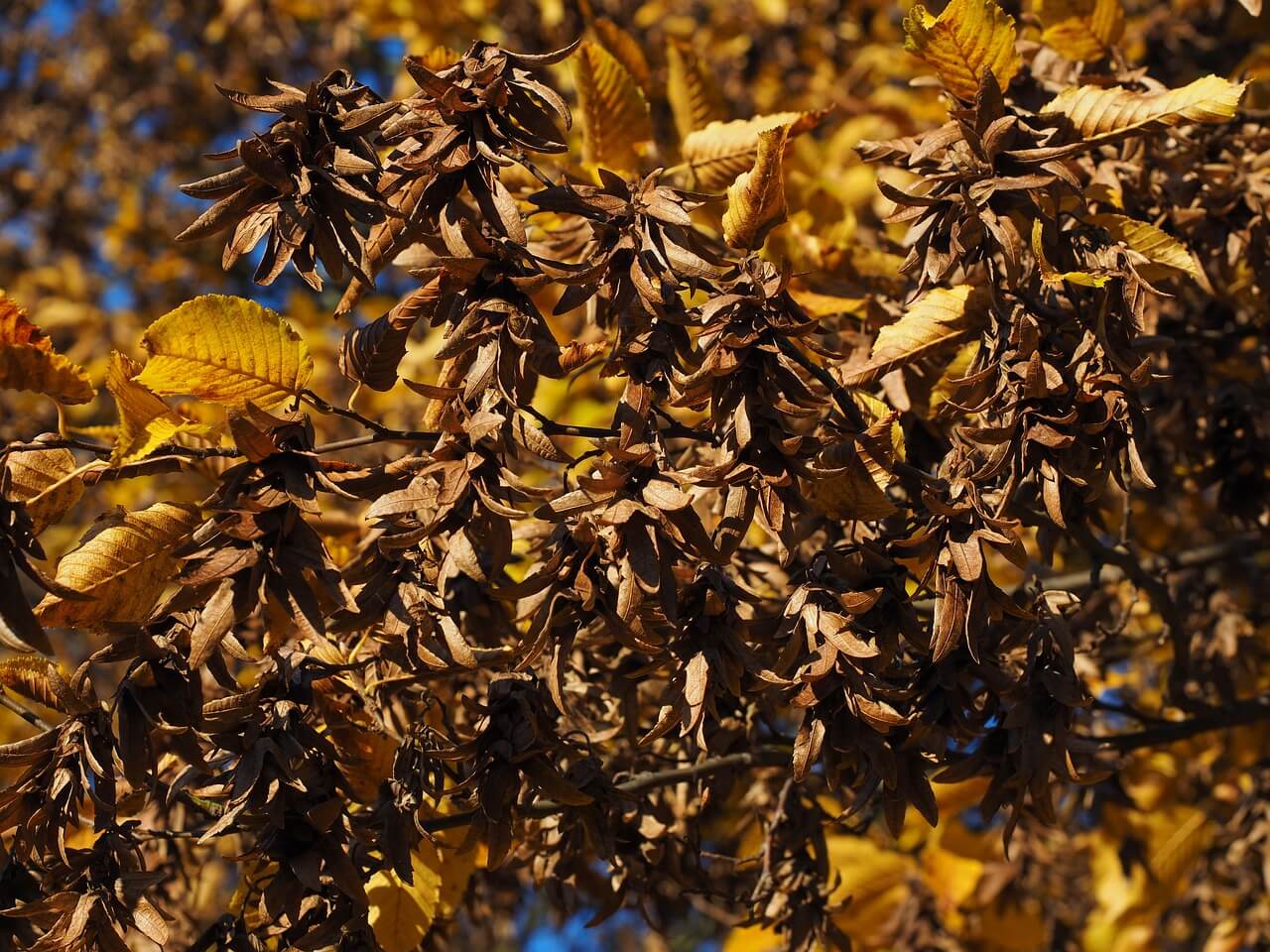 추석 명절 위로금 지원금