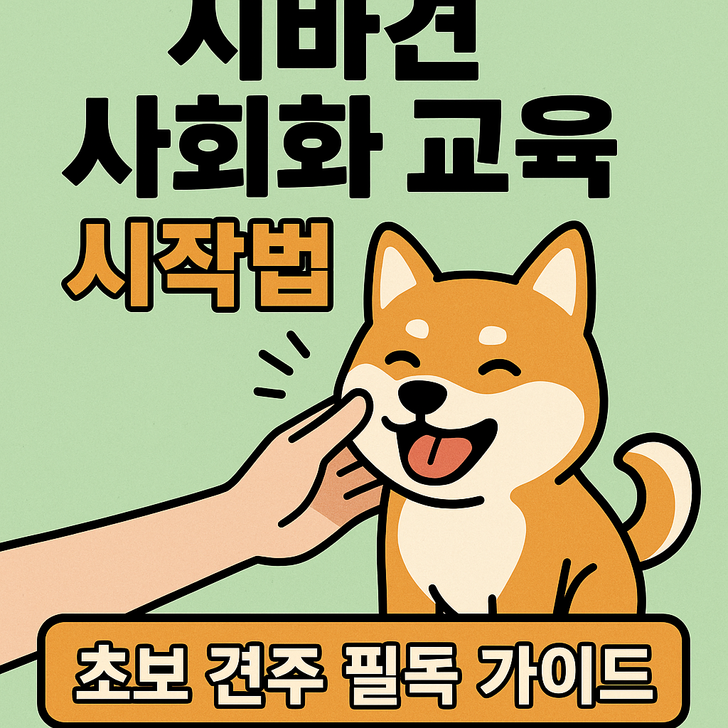 시바견 사회화 교육